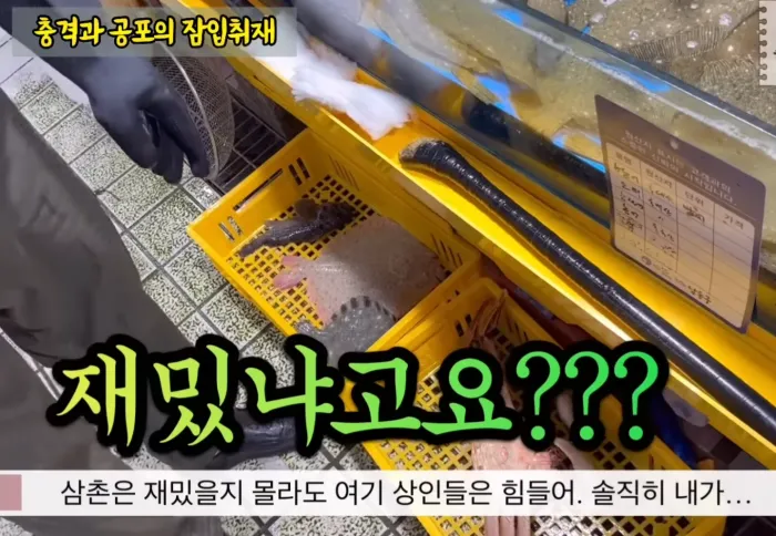 3kg 대게를 5kg 로 속여판 소래포구 종합어시장의 현장 취재 영상 / 출처=생선선생 미스터S 유튜브 캡춰 [사진1]